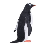 Manchot papou Mojo sealife - 387184