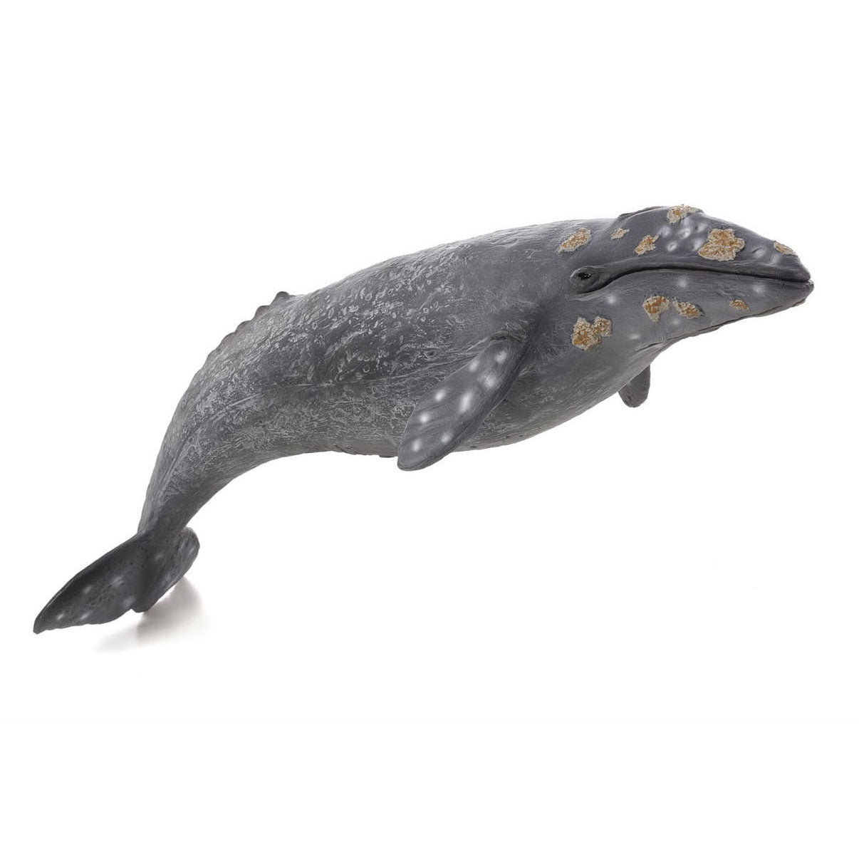 Mojo sealife - baleine grise 387280