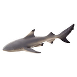 Requin de récif à pointe noire Mojo sealife 387357