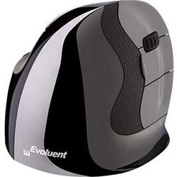 Souris zw et gs vmdl évoluant