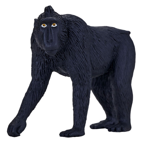Mojo faune noire couronnée Makaak - 387182