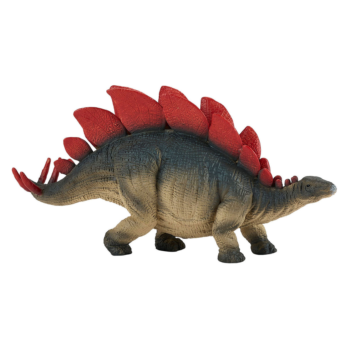 Mojo prehistorie stegosaurus 381088