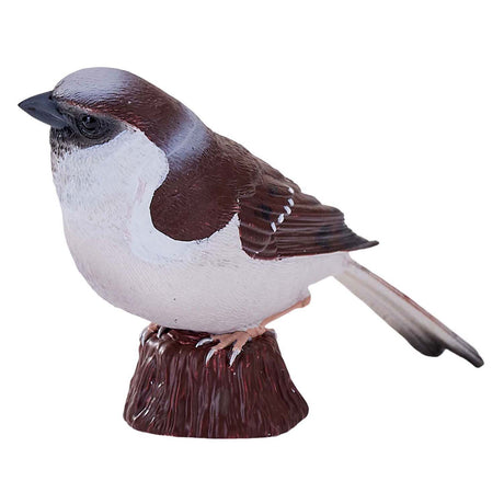 Moineau domestique des terres agricoles Mojo - 381114