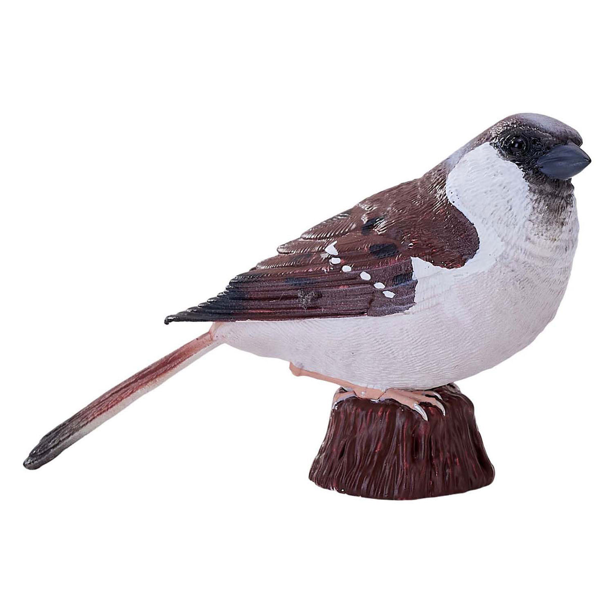 Moineau domestique des terres agricoles Mojo - 381114