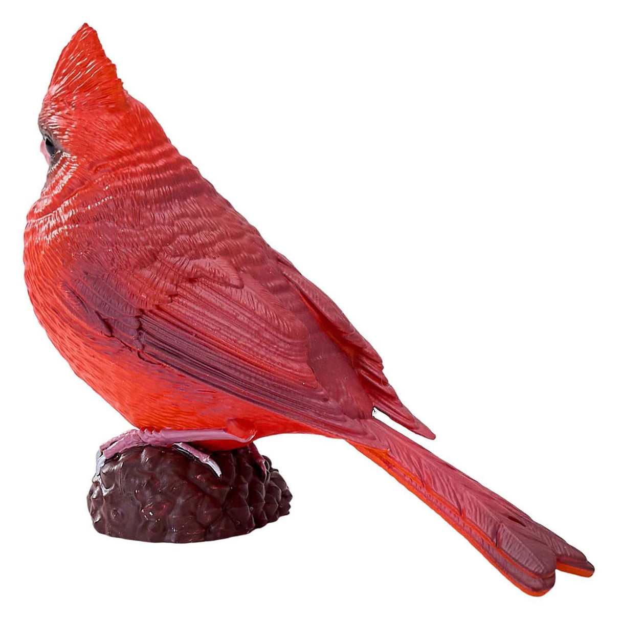 Cardinal rouge des terres agricoles Mojo - 381117