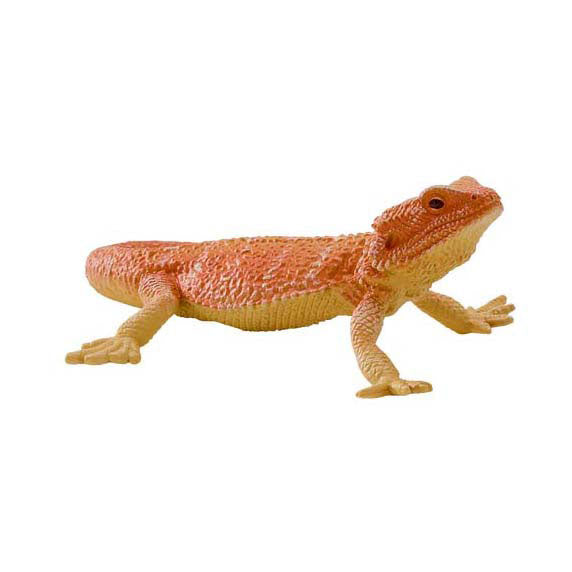 Dragon barbu Mojo Wildlife - 381096