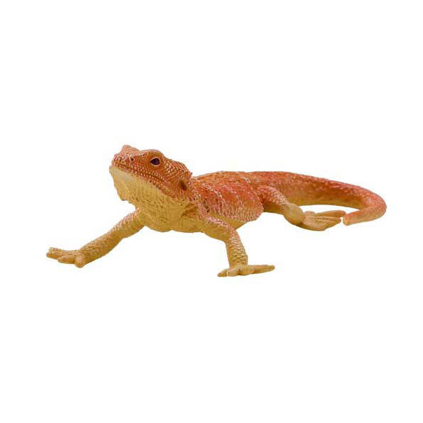 Dragon barbu Mojo Wildlife - 381096