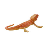 Dragon barbu Mojo Wildlife - 381096