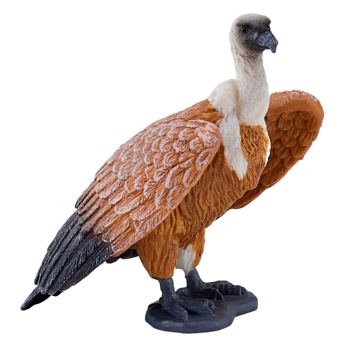 Vautour fauve Mojo - 381099