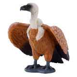 Vautour fauve Mojo - 381099