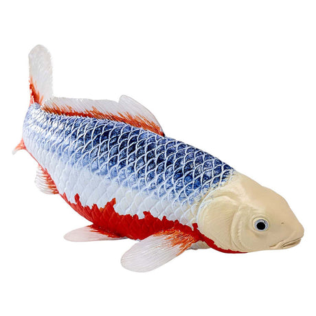 Carpe koi Mojo sealife - asagi koi - 381100