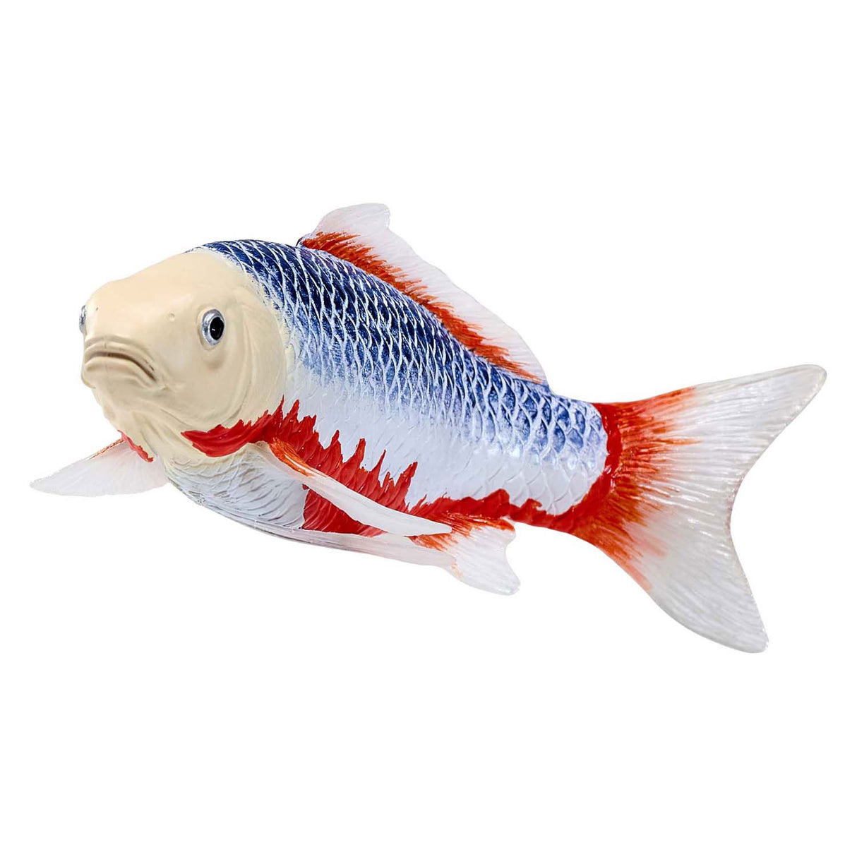 Carpe koi Mojo sealife - asagi koi - 381100