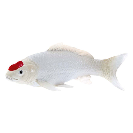 Carpe koi Mojo sealife - tancho koi - 381101