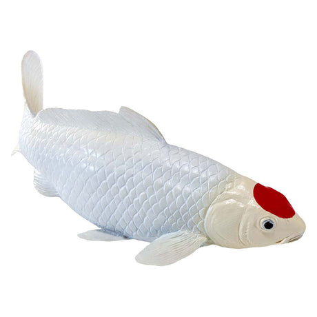 Carpe koi Mojo sealife - tancho koi - 381101