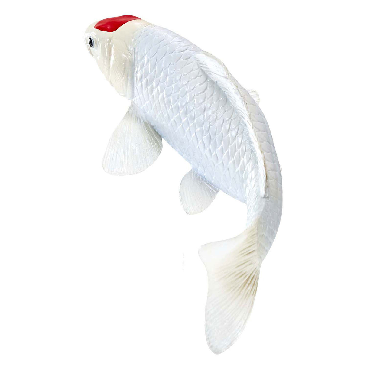 Carpe koi Mojo sealife - tancho koi - 381101