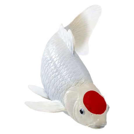Carpe koi Mojo sealife - tancho koi - 381101
