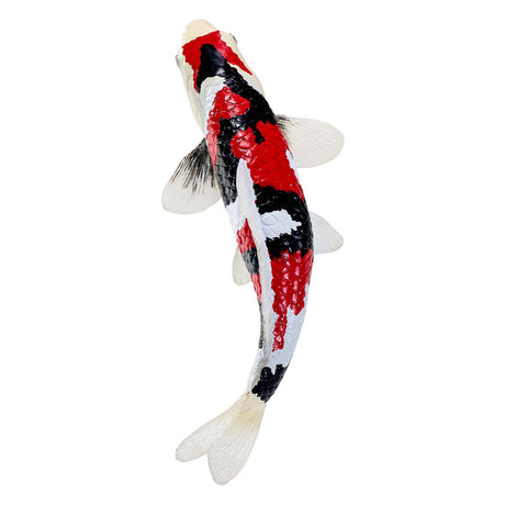Carpe koi Mojo sealife - showa sanshoku koi - 381103