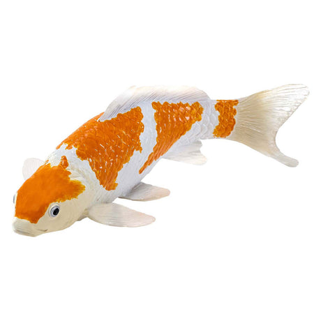 Carpe koi Mojo sealife - ochiba shigure koi - 381104