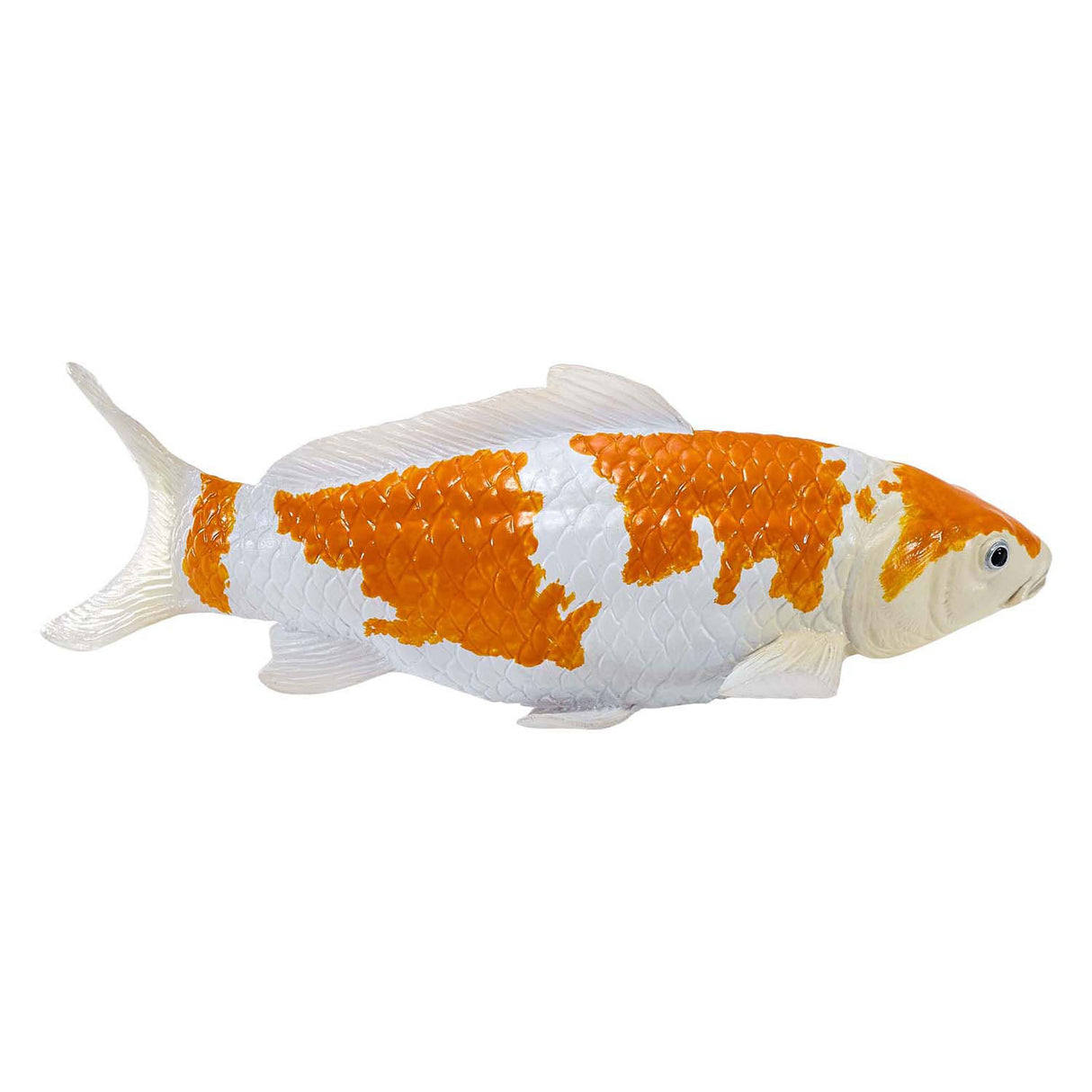 Carpe koi Mojo sealife - ochiba shigure koi - 381104