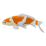 Carpe koi Mojo sealife - ochiba shigure koi - 381104