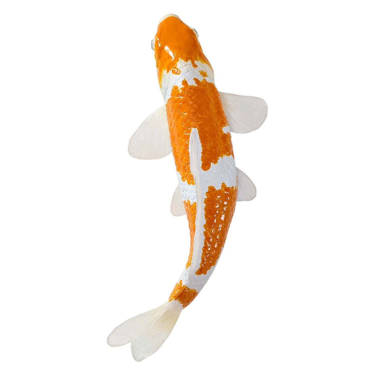 Carpe koi Mojo sealife - ochiba shigure koi - 381104