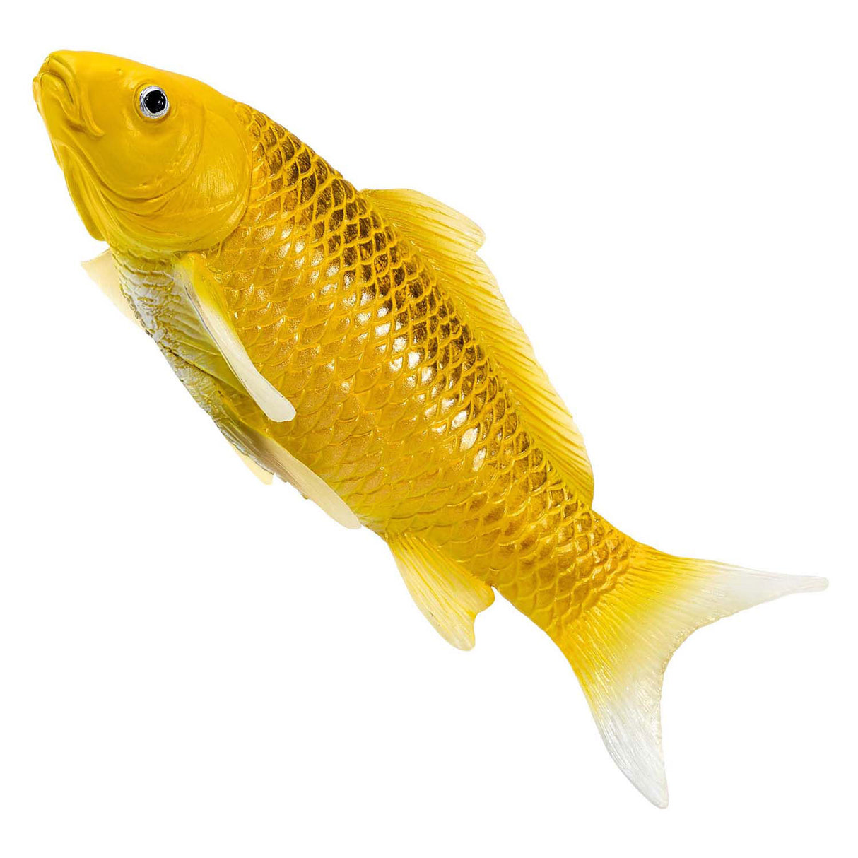 Carpe koi Mojo sealife - menton matsuba koi - 381105
