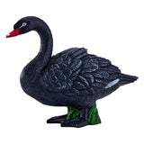 Cygne noir des terres agricoles Mojo - 381067
