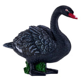 Cygne noir des terres agricoles Mojo - 381067