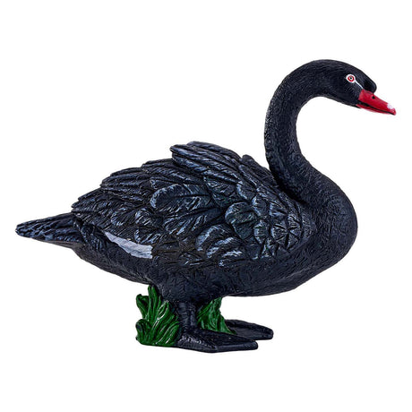 Cygne noir des terres agricoles Mojo - 381067