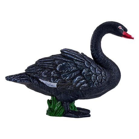 Cygne noir des terres agricoles Mojo - 381067