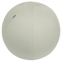 Ballon assis Leitz ergo actif - design anti-roulis - 65 cm - gris clair