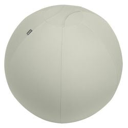 Ballon assis Leitz ergo actif - design anti-roulis - 75 cm - gris clair