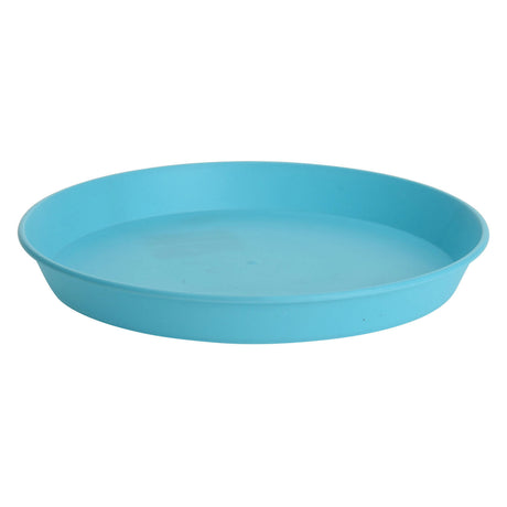 Assiettes pic colorées, 6 pcs.
