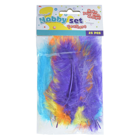Plumes de duvet diverses, 25 pcs.