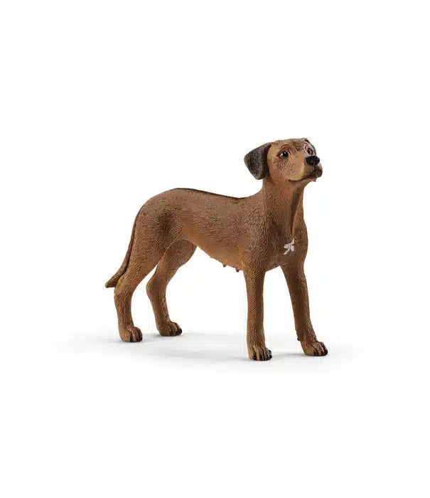 Schleich chien rhodésien ridgeback 13895