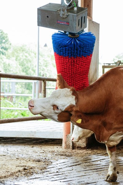 Produits brosse à vaches happycow maxiswing