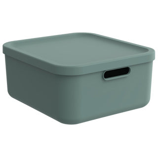 Rotho boîte de rangement décoration albula light 20 l vert gui