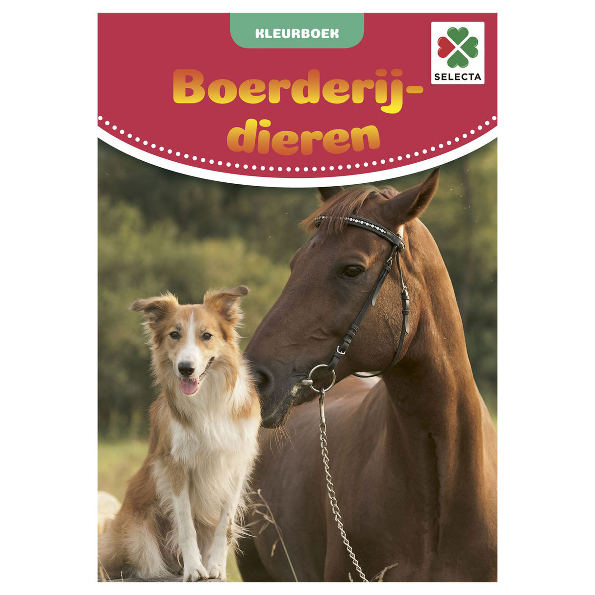 kleurboek boerderijdieren