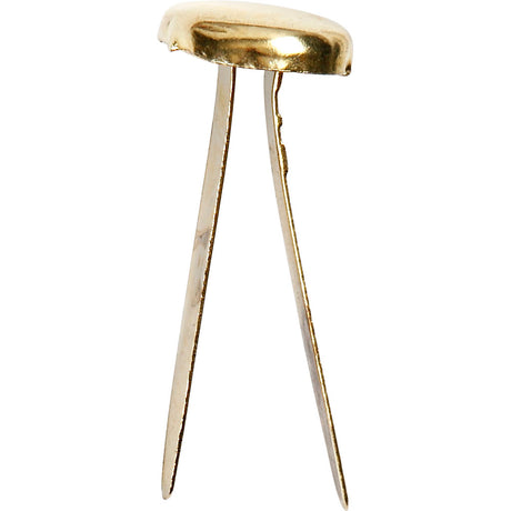 Stylos fendus, 70e.