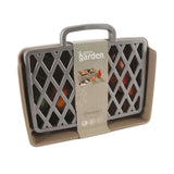 Ensemble grill Dantoy