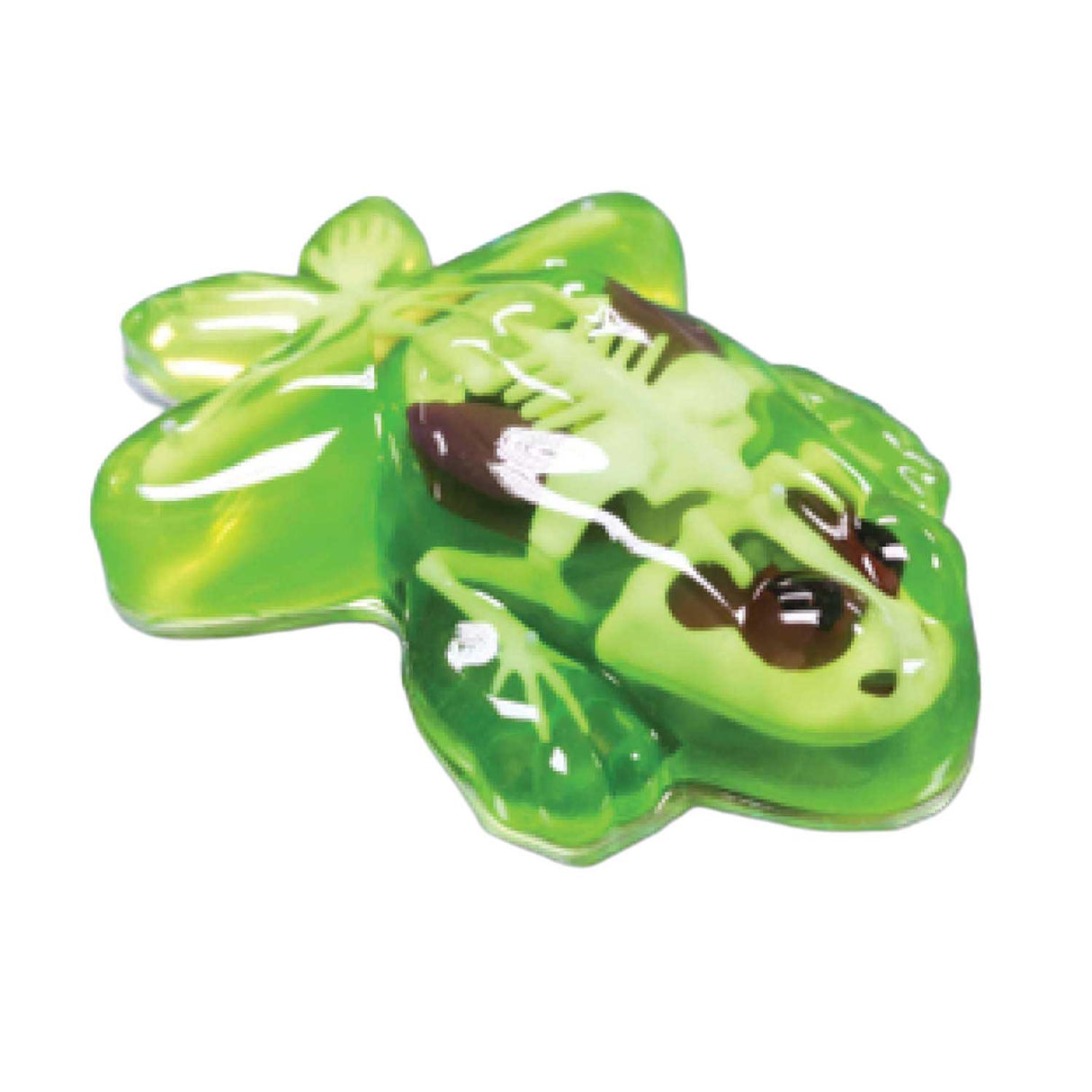 Slimy Lab Dissect-it - disséquer une grenouille