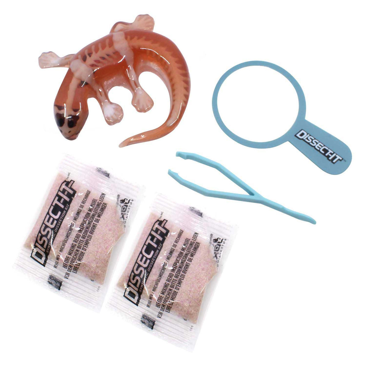 Joker dissèque-il dissèque une salamandre avec une loupe