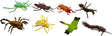 Insectes, 8e.