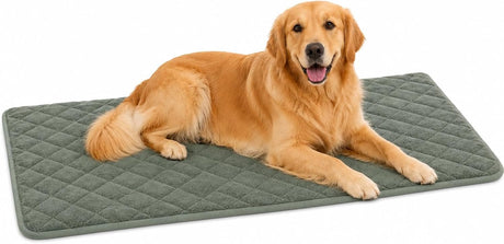 Coussin pour chien Flamingo - coussin orthopédique pour chien - coussin de banc en mousse à mémoire de forme - vert weimar xl - coussin pour chien confortable extra large - 116cm