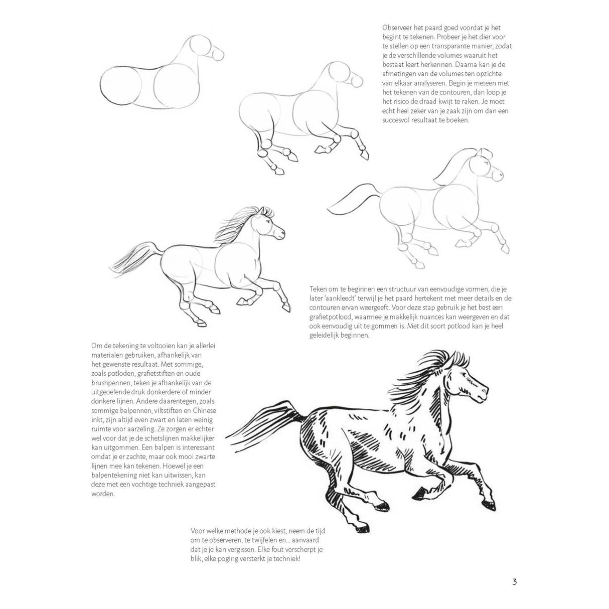 Deltas Learn to draw horses step by step