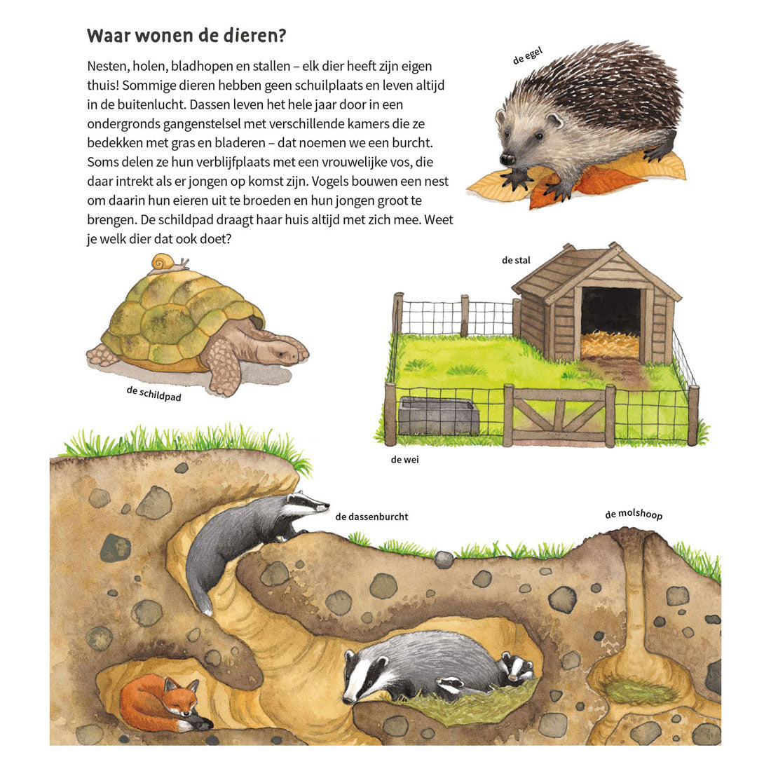 Livre cartonné Deltas les animaux qui nous entourent (2-4 ans)