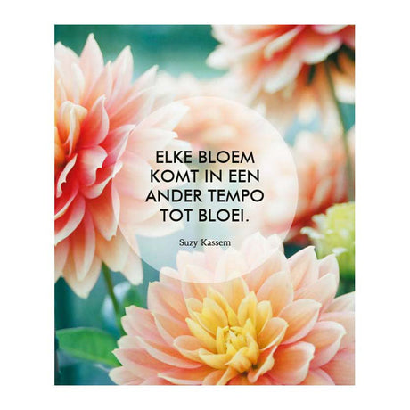 Les Deltas, croyez en vous ! - 52 cartes d'inspiration