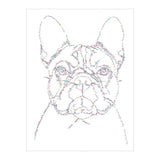 Dessiner des deltas d'un point à l'autre dans le monde des chiens