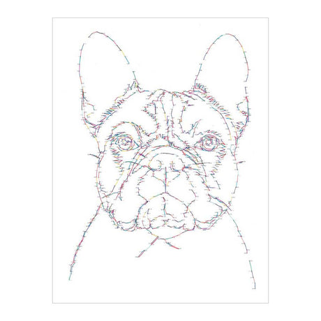 Dessiner des deltas d'un point à l'autre dans le monde des chiens