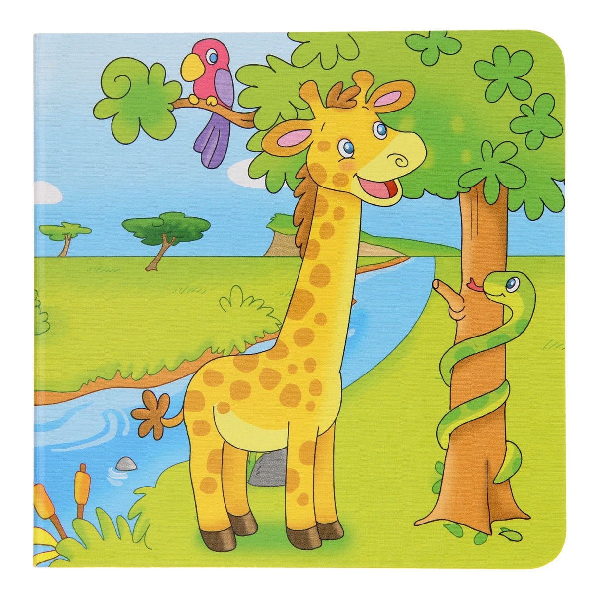 Livres spéciaux Pays-Bas BV livre en carton animaux